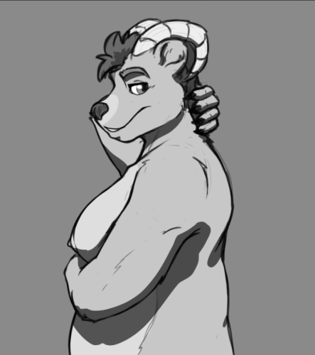 Sheep-Bear Casual